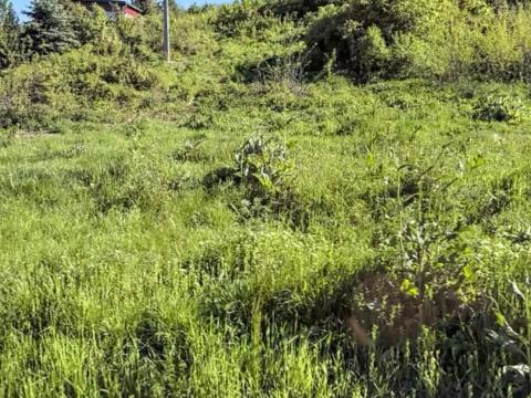 Miskolc, Csermőkei út, föld Miskolc, Csermőkei út, föld