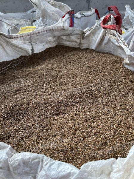 Bio ökológiai Szarvasi AS-3 lucernamag nagy tételben, kombájntisztaságú, 500 Ft/kg