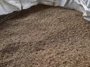 BIO ökológiai Szarvasi AS3 lucernamag nagy mennyiségben, kombájn tiszta 1200 Ft/kg