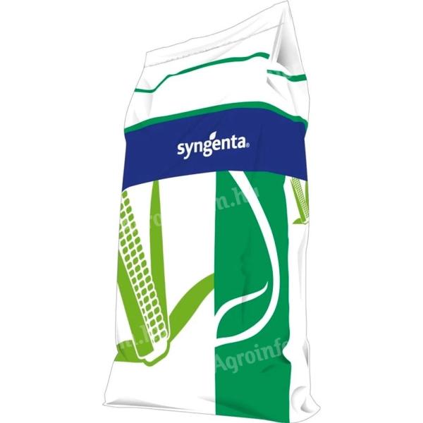 Syngenta SY Enermax FAO 330-350 kukorica vetőmag