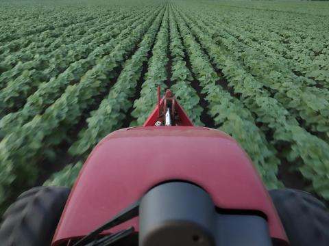 Szántóföldet bérelnék hosszú távra