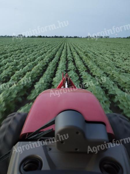 Szántóföldet bérelnék hosszú távra