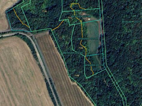 Eladó erdő Bátaszéken