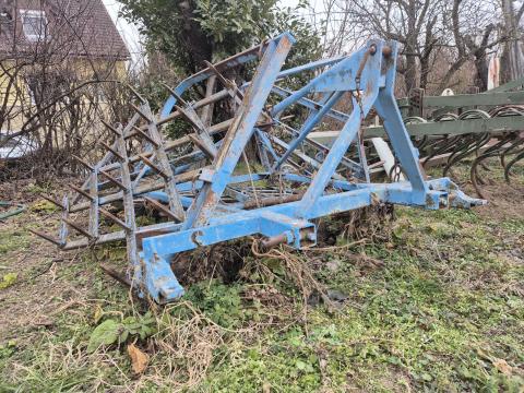 Vogel Noot borona Vogel Noot borona