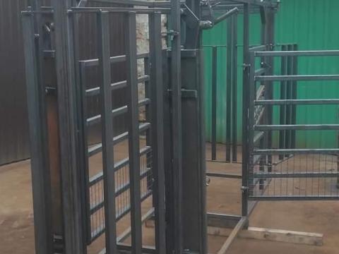 Szarvasmarha kezelő kaloda Szarvasmarha kezelő kaloda