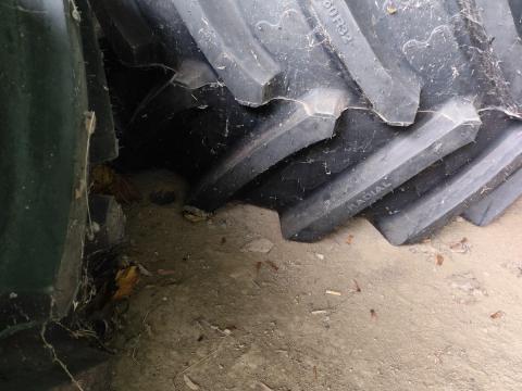 Mezőgazdasági gumiabroncs, akár felnivel is eladó Mezőgazdasági gumiabroncs, akár felnivel is eladó