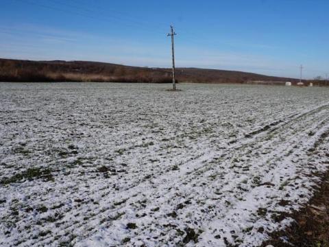 Demjénben belterülettel közvetlen határos szántóföld eladó Demjénben belterülettel közvetlen határos szántóföld eladó
