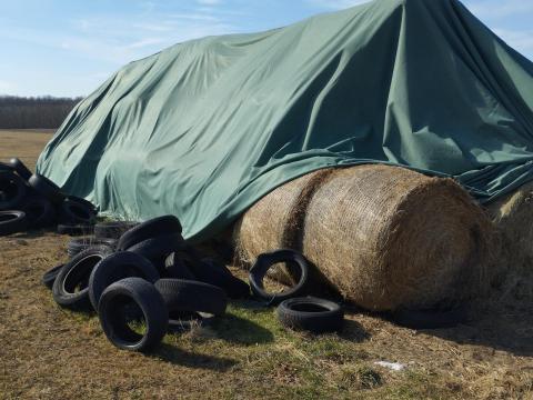 Réti széna, lucerna eladó