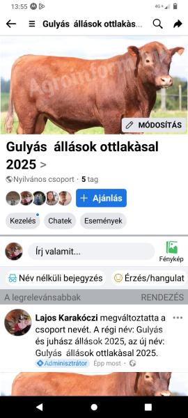 Àllatgondozói munkát keresek húsmarha melett ottlakásal