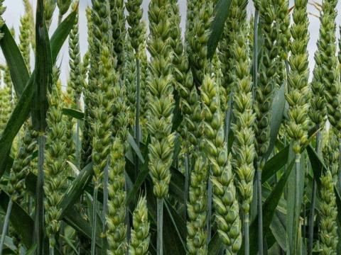 Stressz enyhítése10 liter Aminosav mindössze 5990 Ft-ért Stressz enyhítése10 liter Aminosav mindössze 5990 Ft-ért