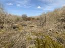 Ipari ingatlan - Paks, 0,64 ha - Eladó/Kiadó