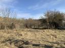 Ipari ingatlan - Paks, 0,64 ha - Eladó/Kiadó