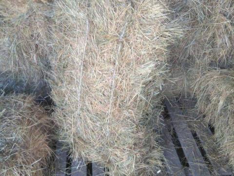 Széna kiskocka bála Széna kiskocka bála