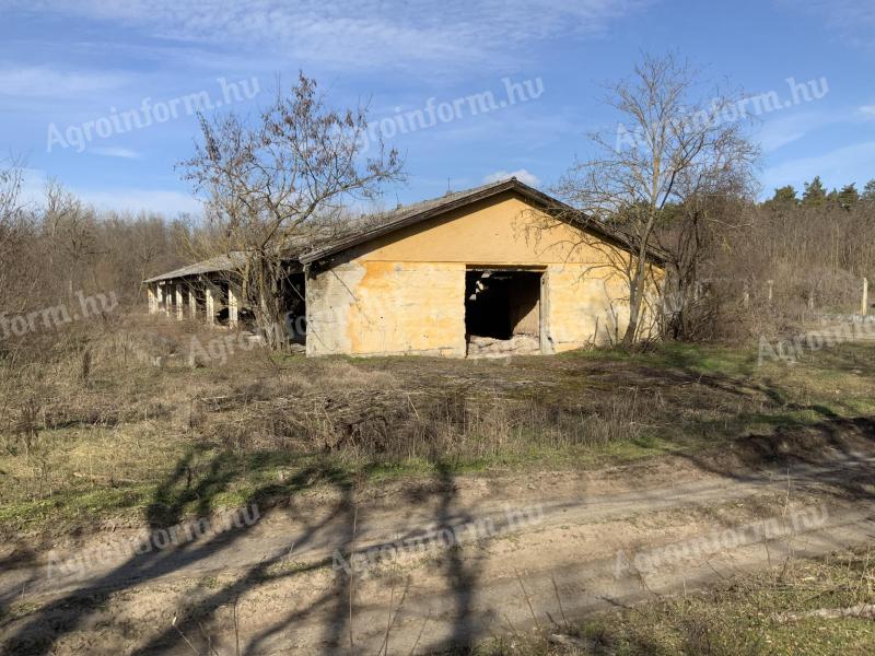 Ipari ingatlan eladó/kiadó Paks, 1,87 ha, kiváló elhelyezkedés az M6-os autópálya közelében