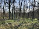 Ipari ingatlan - Paks, 1,87 ha - eladó/kiadó