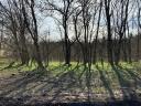 Ipari ingatlan - Paks, 1,87 ha - eladó/kiadó