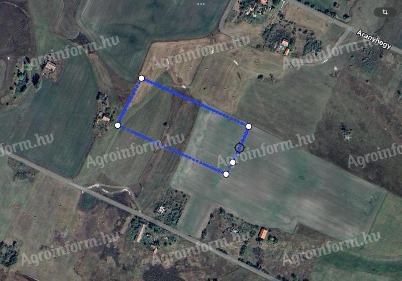 Tömörkényen 2 hektár szántó és legelő eladó