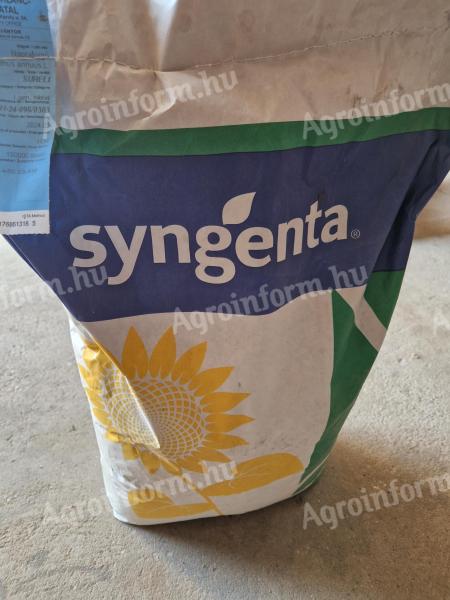 Syngenta Sureli LO napraforgó vetőmag eladó