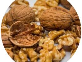 Milotai 10 dió facsemete konténeres kiszerelésben – bőtermő, magas olajtartalommal