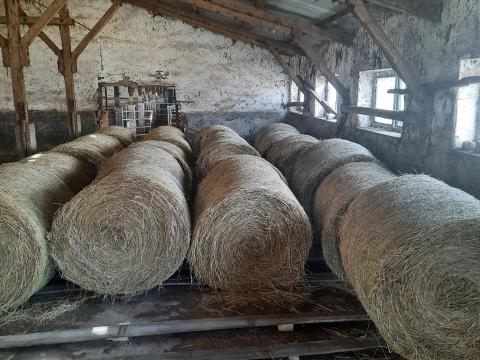 Széna eladó Széna eladó