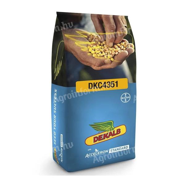 Dekalb DKC4351 FAO: 340-350 kukorica vetőmag