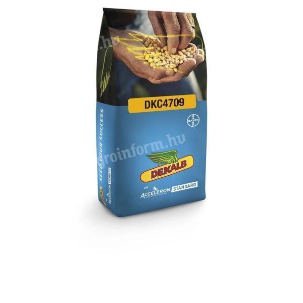 Dekalb DKC 4709 FAO: 360-380 kukorica vetőmag