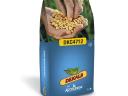 Dekalb DKC4712 FAO 350-370 kukorica vetőmag