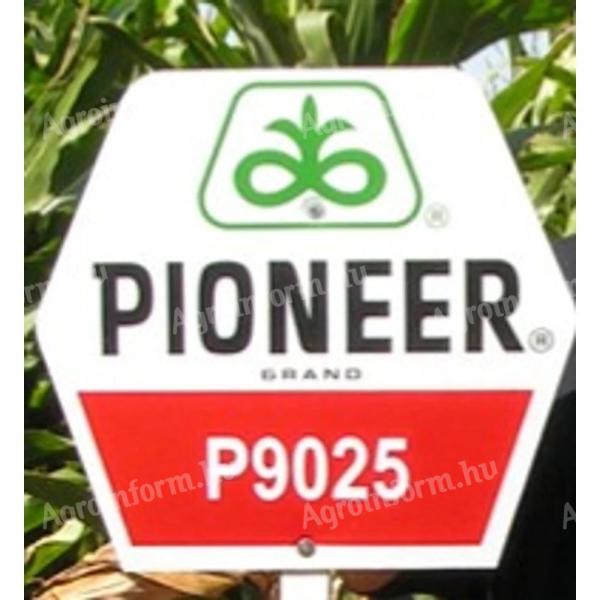 Pioneer P9025 FAO 310 kukorica vetőmag