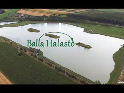 Eladó Balla Halastó Fehérgyarmaton Eladó Balla Halastó Fehérgyarmaton