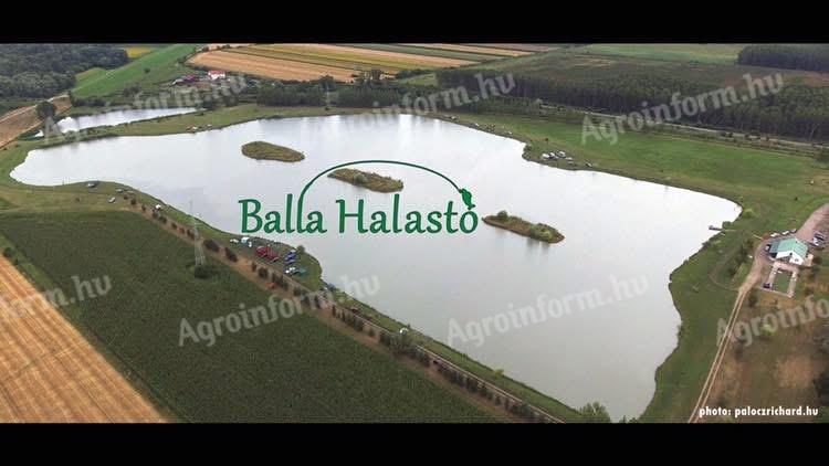 Eladó Balla Halastó Fehérgyarmaton