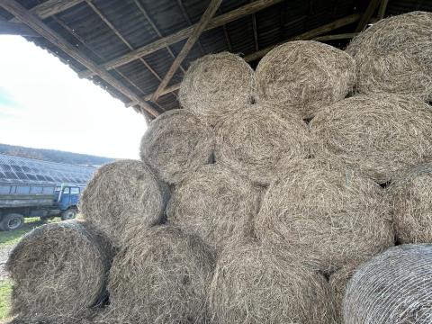 Lucernabála 130-as Lucernabála 130-as