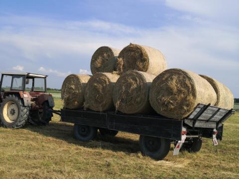 Bálaszállító pótkocsi Bálaszállító pótkocsi