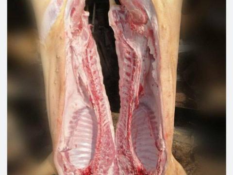 Félsertés Félsertés