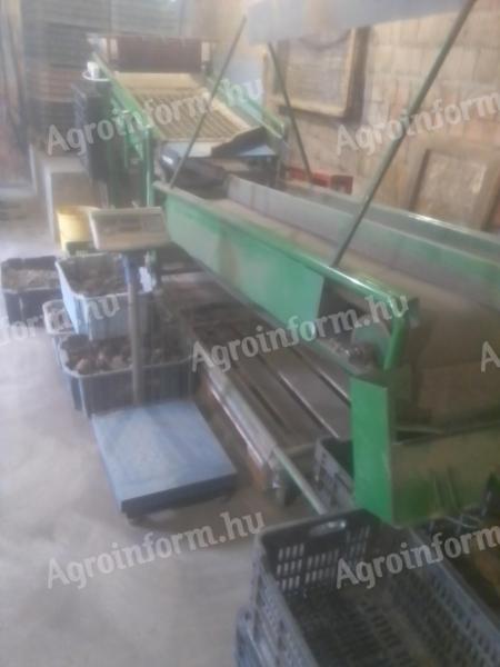 Válogató, osztályozó asztalsor eladó