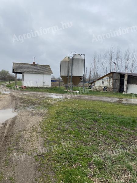 Állattartó telep eladó