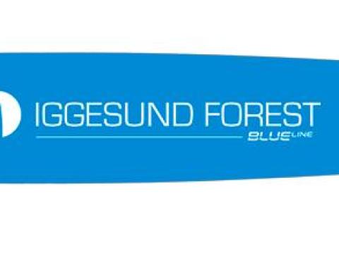 Iggesund BL2701-42 láncvezető