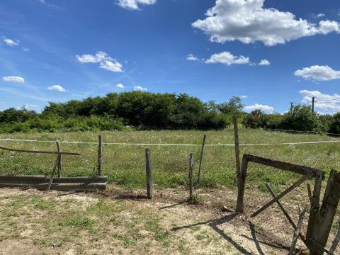 Eladó szántóföld Eladó szántóföld