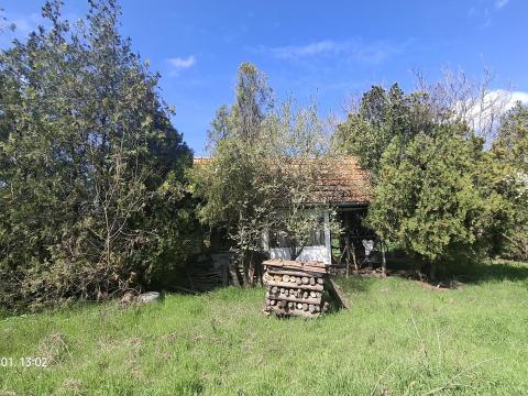 Eladó zártkerti ingatlan Gyulán, 4300 nm-es telek kiváló adottságokkal