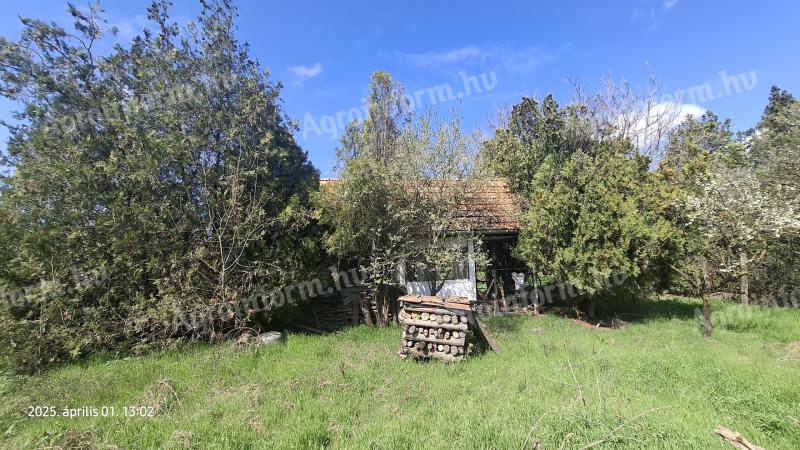 Eladó zártkerti ingatlan Gyulán, 4300 nm-es telek kiváló adottságokkal