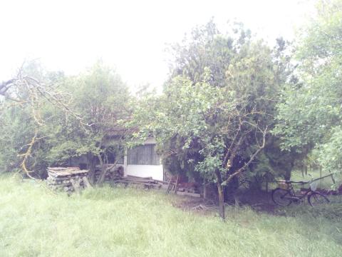 Eladó zártkerti ingatlan Gyulán, 4300 nm, kiváló adottságokkal