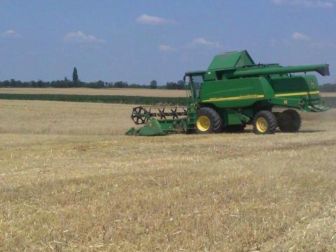 Mezőgazdasági bérmunka Mezőgazdasági bérmunka