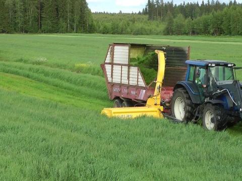 ELHO DC 2100, a zöldtakarmány-betakarítás mestere,  a legeltetés alternatívája