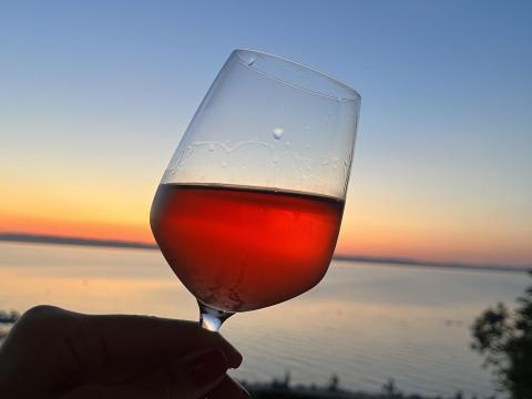 Cabernet Franc rosé folyóbor Cabernet Franc rosé folyóbor