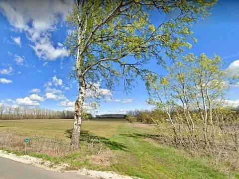 Nagykőrösön szántóföld sürgősen eladó Nagykőrösön szántóföld sürgősen eladó