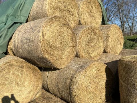 Eladó szénabála Eladó szénabála