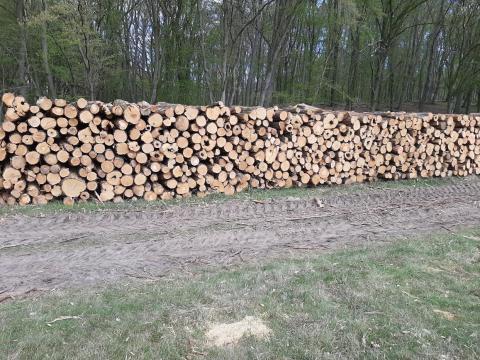 Akác tűzifa eladó Akác tűzifa eladó