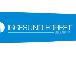 Iggesund IF2806-75 vezetőlap