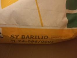 Napraforgó vetőmag eladó