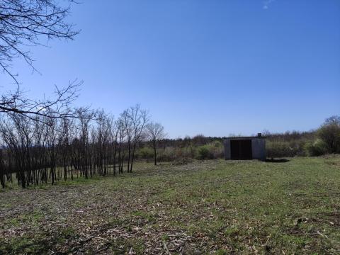 Erdővel határos telek nyugalmat keresőknek eladó