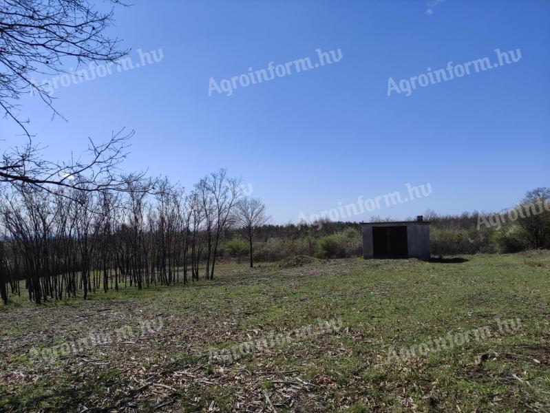 Erdővel határos telek nyugalmat keresőknek eladó